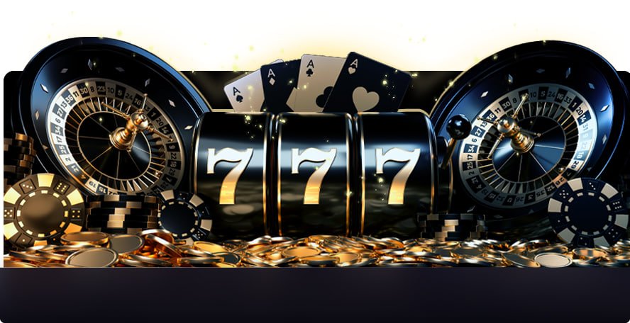 win678dd